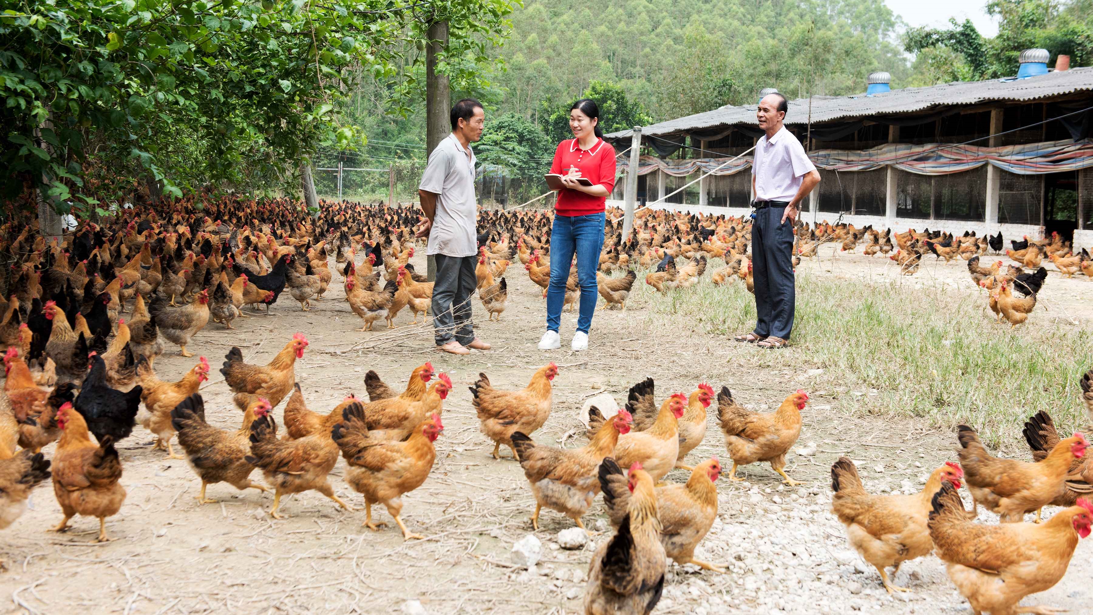 202307181017031846.jpg 202307181017031846.jpg