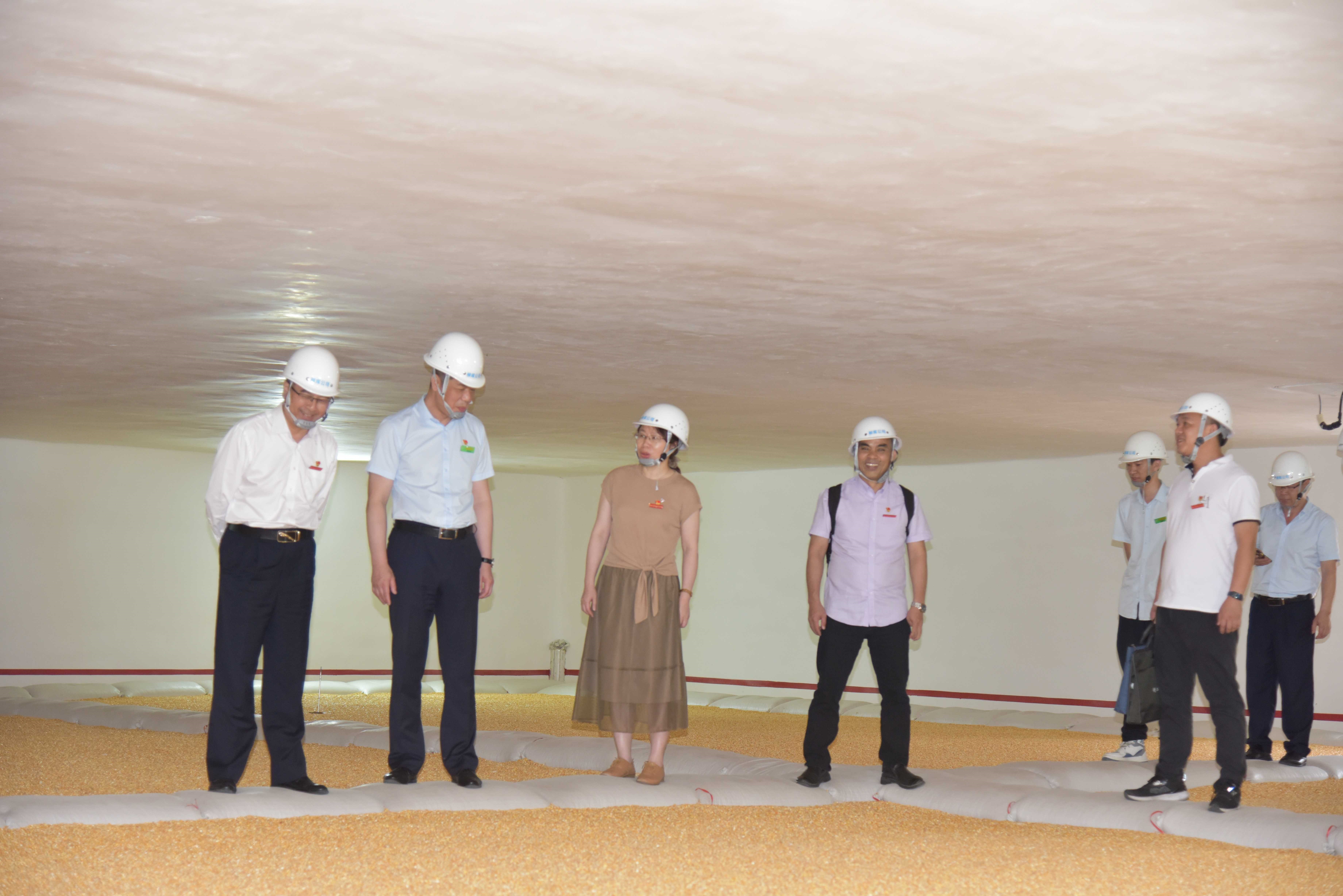 202305232112125550.jpg 202305232112125550.jpg